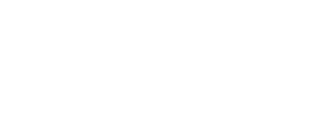 QN – Designer and Developer